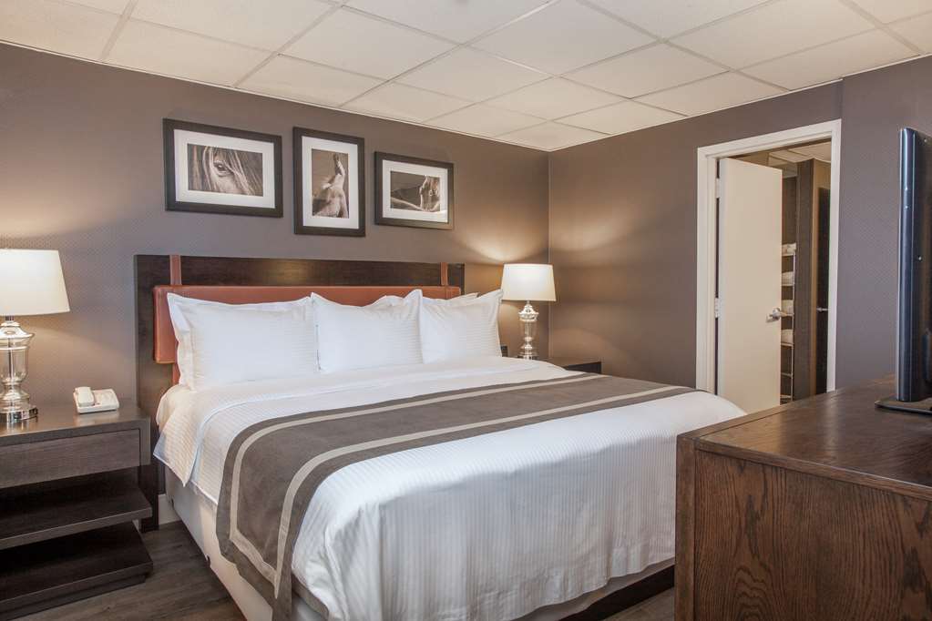 Delta Hotels By Marriott Baltimore Hunt Valley Room photo